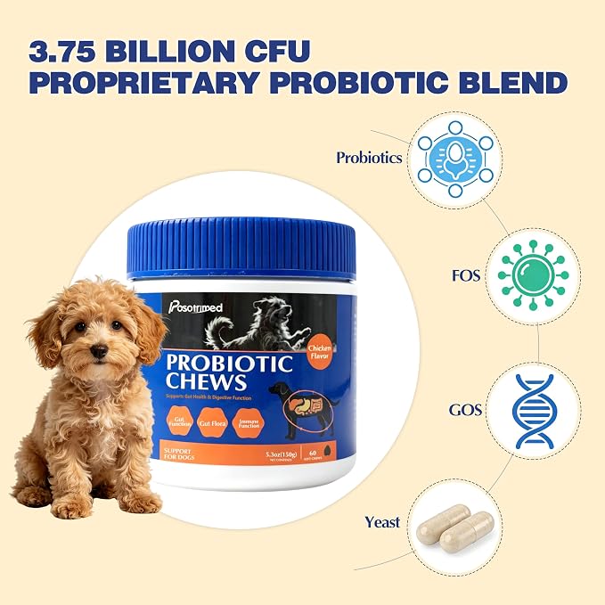 Probiotics for Dogs, Reduce Diarrhea, Gas - 60 Probiotic Chews for Dogs