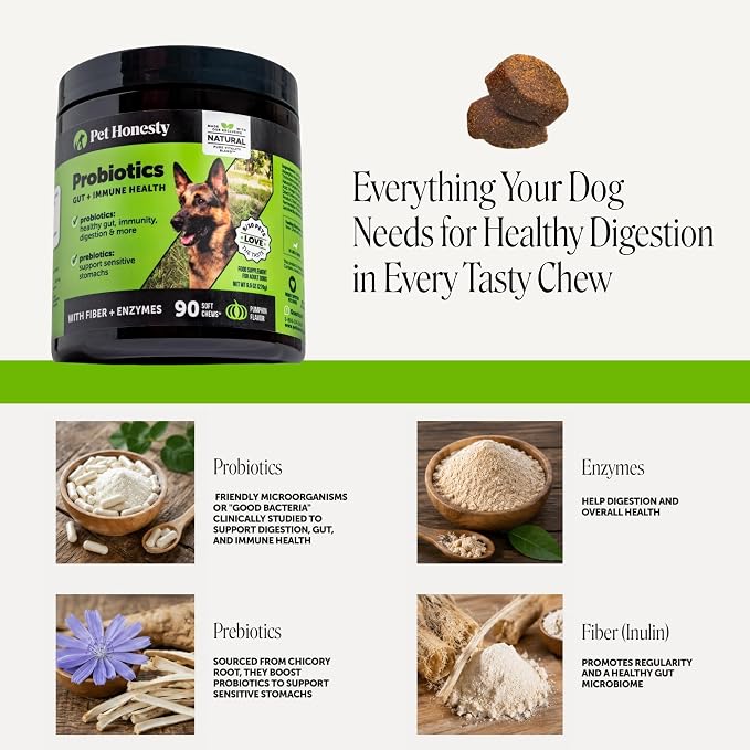 Pet Honesty Probiotic Chews for Dogs - Pumpkin, 90ct