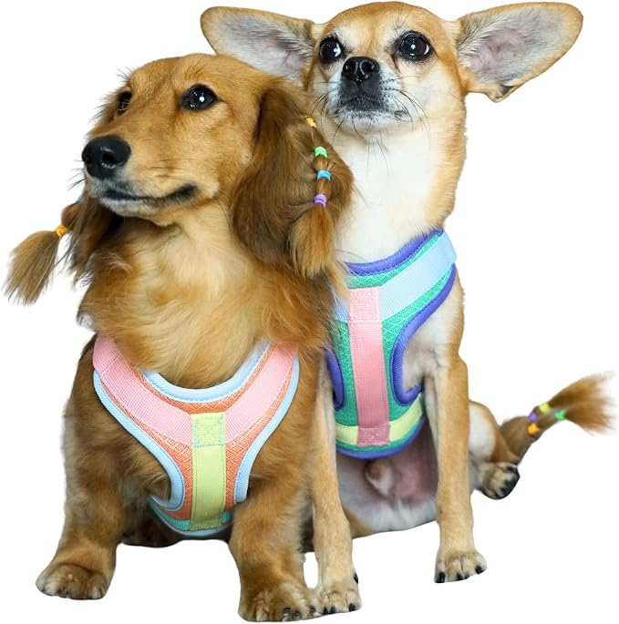 Blueberry Pet Vibrant Mesh Padded Ultra Cool Lightweight Dog Harness Vest in Mint, Extra Large, Neck 24", Chest 29½"~35"