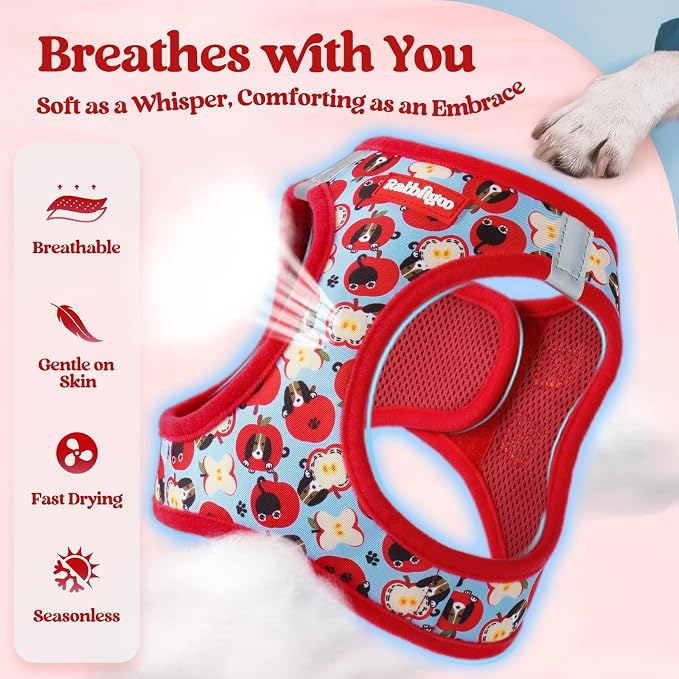 rabbitgoo Dog Harness Medium Sized and Leash Set, Step-in Puppy Pet Vest | Light, Soft, Breathable Air Mesh, Easy on and Remove with Hook & Loop, Secure Reflective for Walking, Apple Pups L