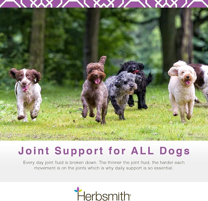 Herbsmith Sound Dog Viscosity – Advanced Joint Support for Dogs – Veterinarian Recommended Glucosamine for Dogs, Hyaluronic Acid, Chondroitin, MSM – Natural Arthritis Pain Relief – 500g Powder