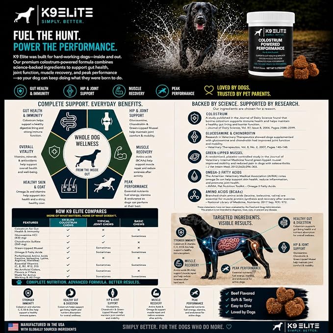 Hip & Joint Supplement for Dogs – Glucosamine, Chondroitin, Green Lipped Mussel, Colostrum, Collagen & Omega-3 – Daily Joint, Mobility, Gut & Immune Support –