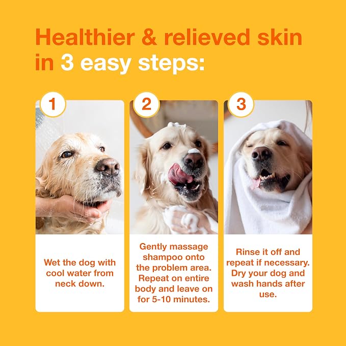 Douxo S3 PYO Medicated Dog Shampoo with 3% Chlorhexidine for Dogs – Antibacterial & Antiseptic Yeast Infection Treatment For Dogs & Cats, Clinically Proven, 6.7 fl oz | Antibacterial & Antiseptic Yeast Infection Treatment For Dogs & Cats, Clinically Pr...