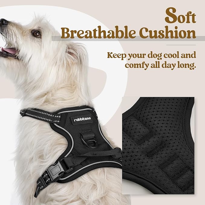 rabbitgoo Dog Harness, No Pull for Small Dogs with 2 Leash Clips, Pet Vest | No Choke with Handle, Adjustable Soft Padded, Reflective, Easy Control for Walking, Black, X-Small