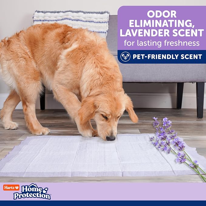 Hartz Home Protection Super Absorbent Odor Eliminating Lavender Scented No Leak Dog Pads, XXL 20 count