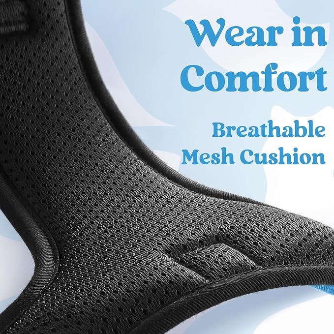rabbitgoo Dog Harness Medium Sized, Updated Easy On & Off with 3 Buckles | No Pull No Choke, Walking with 2 Clips and Handle, Adjustable Soft Reflective, Sky Blue, Medium