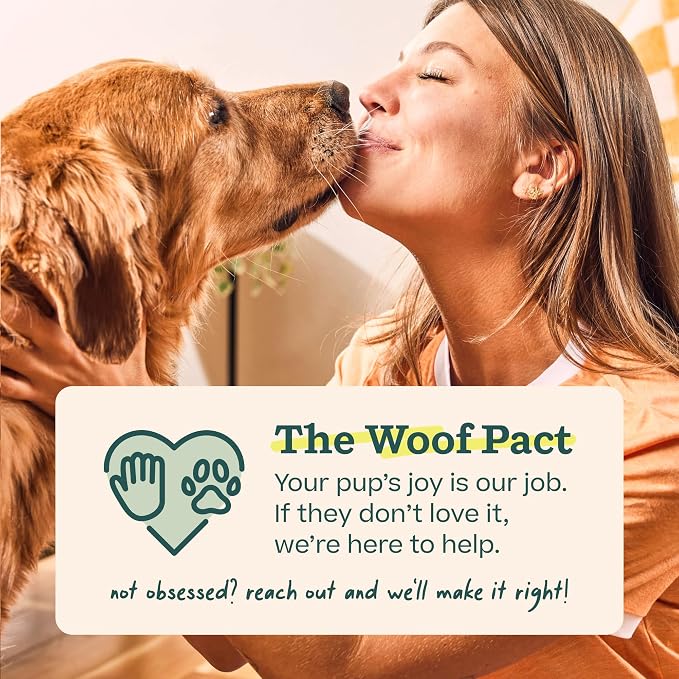 WOOF Pupsicle Interactive Dog Ball Toy for Dogs 75 lbs & Up - Green | Long-lasting enrichment toy for extra-large dogs, easy-fill design, low-mess play, made of natural rubber, easy to clean