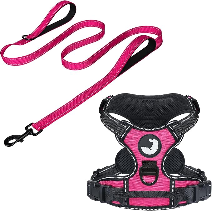 6FT Double Handle Dog Leash for Training and Dog Harness (Chest: 17-34"), Reflective Leashes for Medium Dogs and Adjustable Soft No Pull Harness (Hot Pink,L)