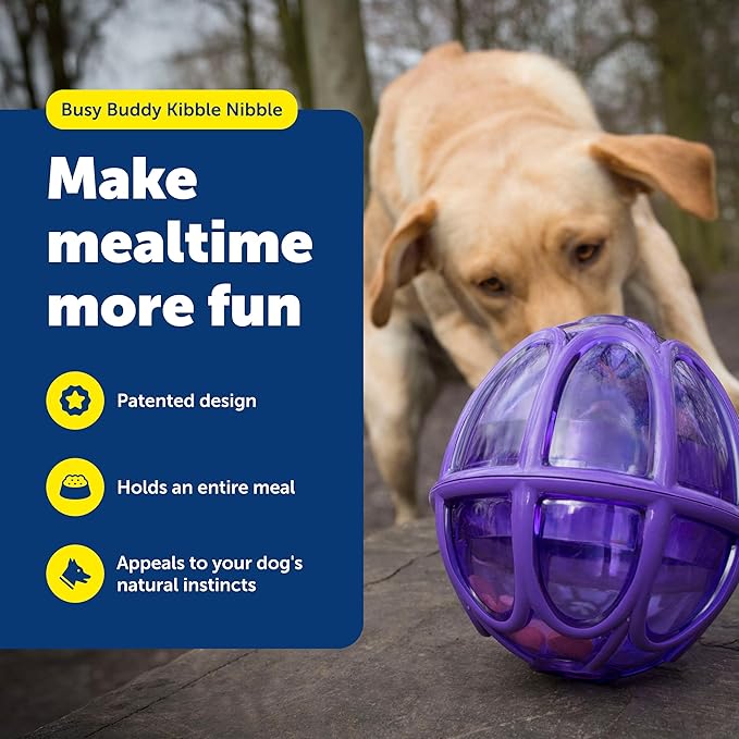 PetSafe Busy Buddy Kibble Nibble Dog Toy - Encourages Natural Instinct Feeding - Patented Treat Meter Design - Rubber Bumpers - Interactive Slow Feeder Ball - Purple - Small