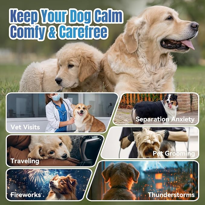 Dog Calming Chews- Sleep Aid Melatonin for Dogs Anxiety Stress Relief Noise, 200-Pack, Small