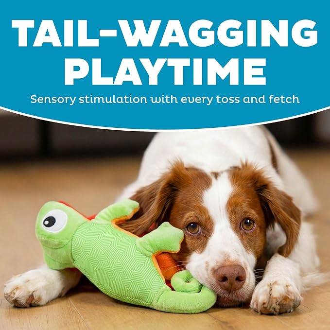 Outward Hound Coated Critterz Dog Toy – Plush & Molded Texture, Squeaky Fetch, Small & Medium Dogs, Lizard, 10.4"