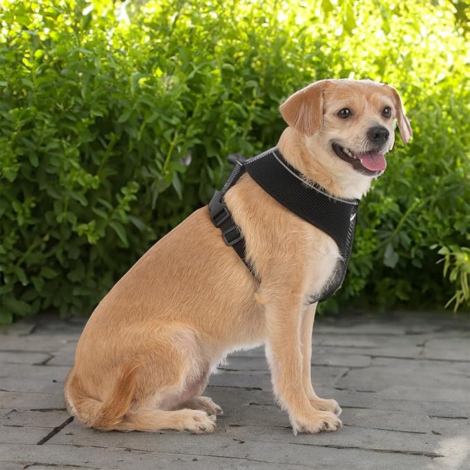 Best Pet Supplies Voyager Aerolite Over the Head Dog Harness, No Pull Breathable Air Mesh Vest, Quick Dry with Reflective Stitching, Adjustable Escape Resistant Harness - Black, X-Large