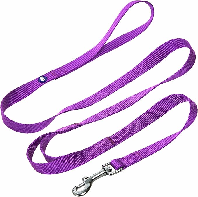 Blueberry Pet Essentials Double Handle Dog Leash for Traffic Control | 5ft. x 3/8" X-Small Dog Leash | Classic Dog Leash with Two Handles for Dogs That Pull | Nylon 2 Handle Dog Leash in Dark Orchid