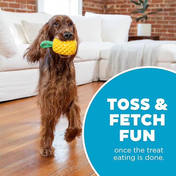 Outward Hound Dental Pineapple Dog Toy & Treat Stuffer, 6.8″ x 3.3″ Pineapple-Scent Interactive Chew for Dogs, Promote Healthy Teeth, Gums & Mental Enrichment, Reduce Boredom & Support Dental Health
