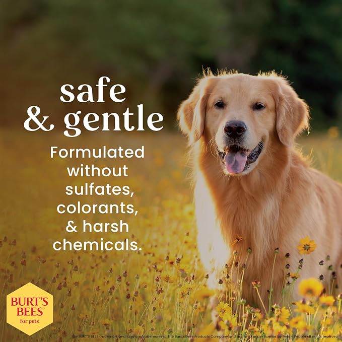 Burt’s Bees for Pets Multipurpose Dog Wipes, Honey and Grapefruit Scent - Hypoallergenic, 98% Natural Origin Wipes That Cleanse and Deodorize, Gentle Formula, 100 Count