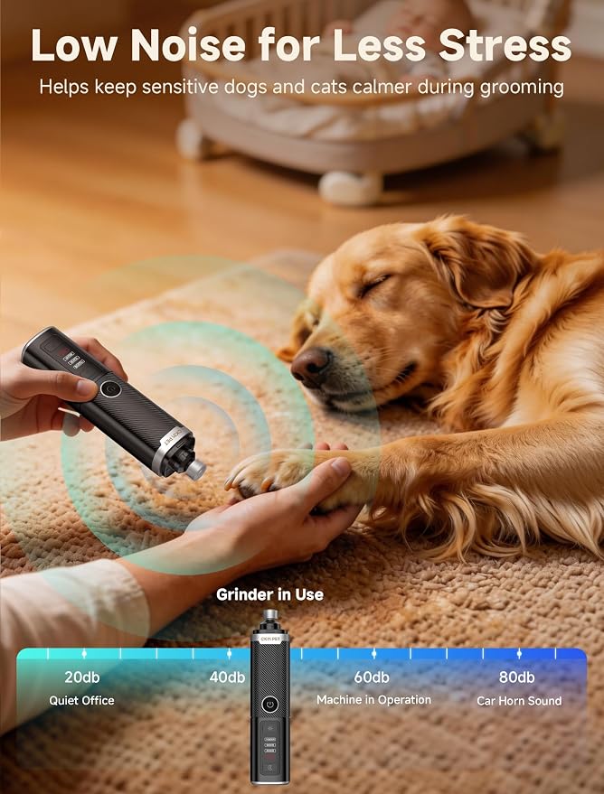 Dog Nail Grinder with 2 LED Lights, 3-Speed, Black