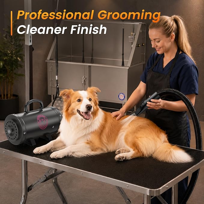 Flying Pig Turbo Dog Grooming Dryer with ForceFlow Drying Power, Variable Speed and Heat Control (Dark Grey w/Pink Logo)