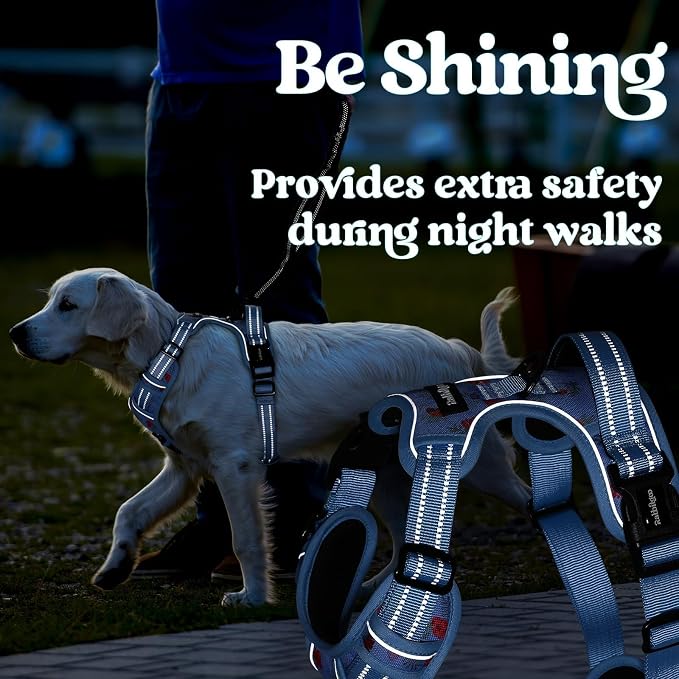 rabbitgoo Dog Harness Small Sized, Updated Easy On & Off with 3 Buckles | No Pull No Choke, Walking with 2 Clips and Handle, Adjustable Soft Reflective, Floral Blue, Small