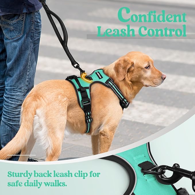 rabbitgoo Dog Harness, No Pull for Small Dogs with 2 Leash Clips, Pet Vest | No Choke with Handle, Adjustable Soft Padded, Reflective, Easy Control for Walking, Turquoise, Small