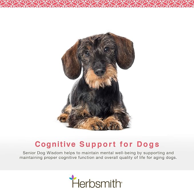 Herbsmith Senior Dog Wisdom – Dog Dementia Supplement – DHA for Senior Dog Brain Health - Senior Supplement for Dogs- 60ct Large Chews