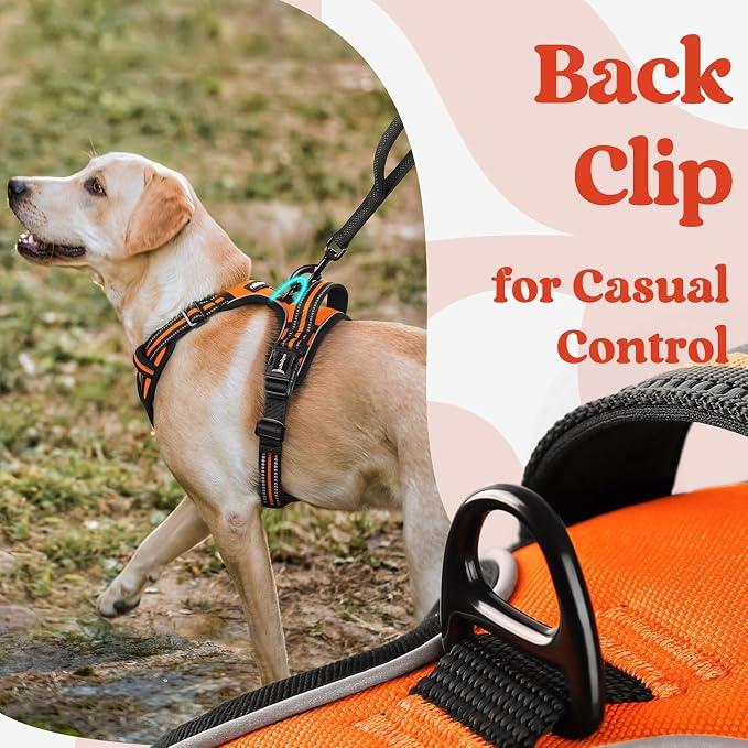 rabbitgoo Dog Harness Medium Sized, Updated Easy On & Off with 3 Buckles | No Pull No Choke, Walking with 2 Clips and Handle, Adjustable Soft Reflective, Orange, Medium
