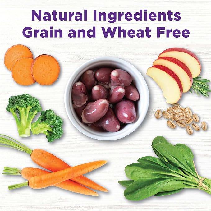 Wellness Bowl Boosters, Dog Food Topper for Small, Medium, & Large Breeds, Grain Free, Natural, Freeze Dried, Joint Health Chicken, 4 Ounce Bag (Pack of 2)