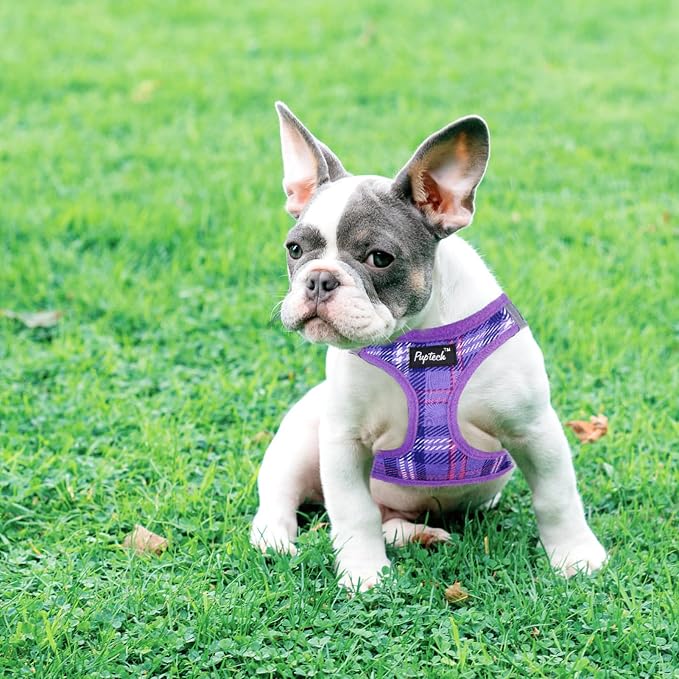 PUPTECK Dog Harness and Leash Set for Small Medium Dogs No Pull Step-in Soft Mesh Puppy Cat Vest Harnesses Reflective at Night, Plaid Pattern Purple S