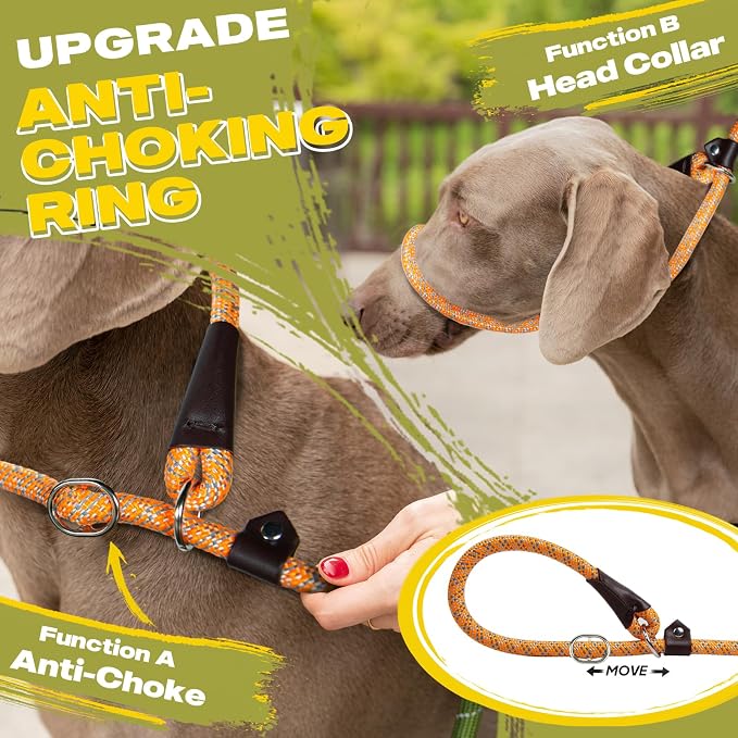 Fida Durable Slip Lead Dog Leash, 6 FT x 3/8" Heavy Duty Comfortable Strong Rope Slip Lead for Small Dogs and Puppies, No Pull Pet Training Leash with Highly Reflective (3/8", Orange)