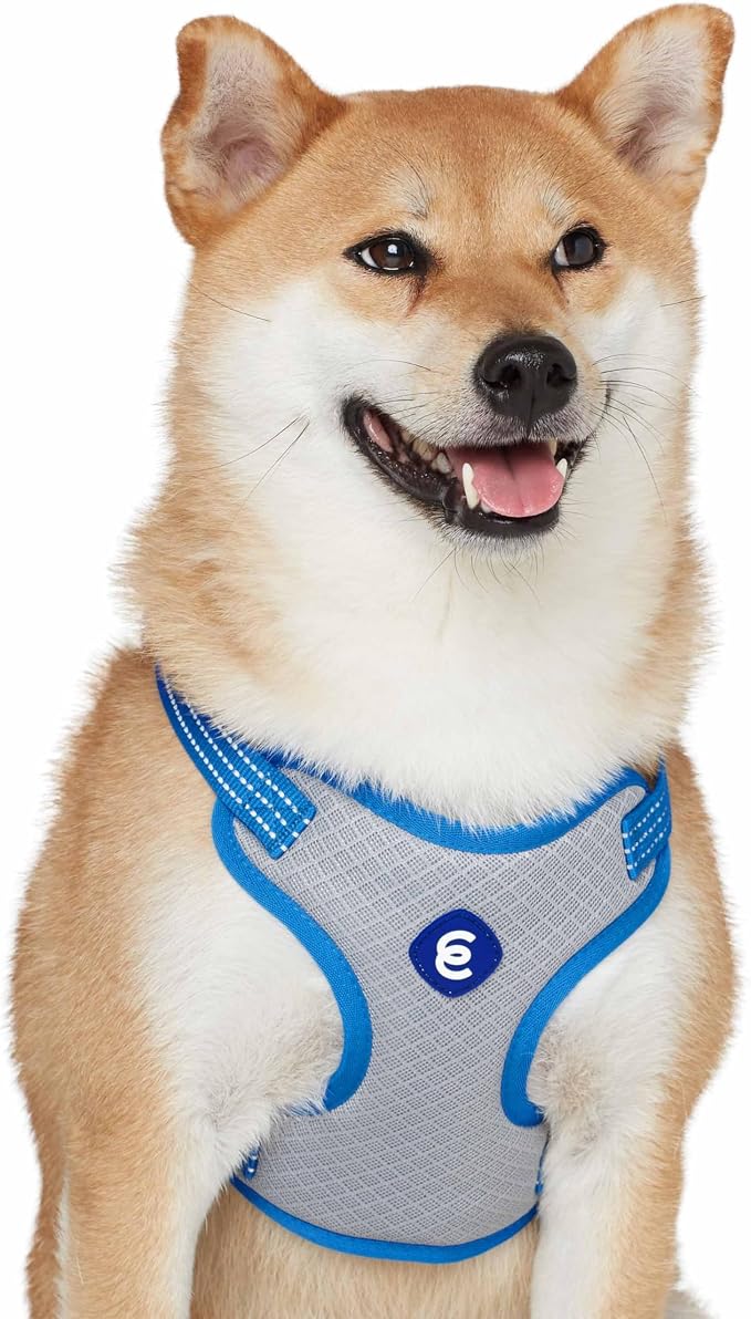 Blueberry Pet Essentials Back to Basics Reflective Dog Harness Vest, French Blue, Small, Adjustable Harnesses for Dogs