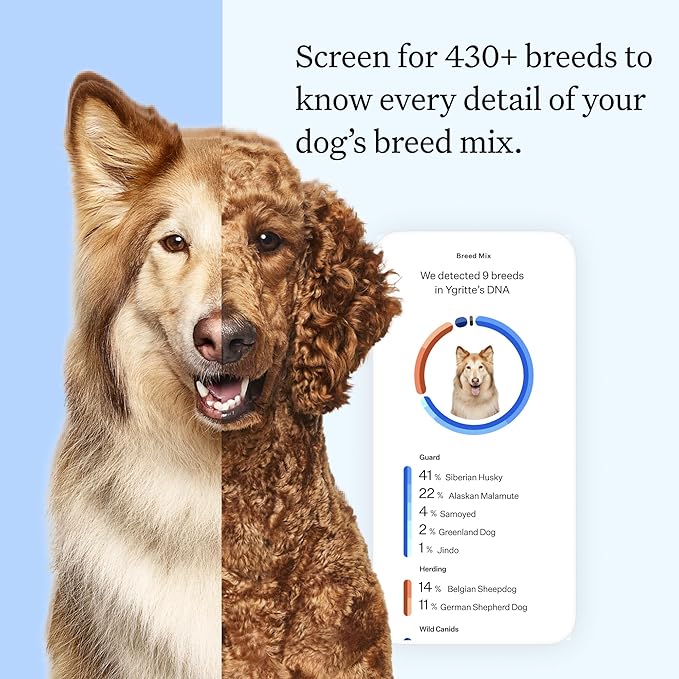 Wisdom Panel Essential DNA Test Kit, 1-Pack