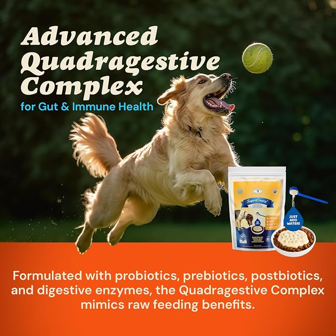 CLEAR CONSCIENCE PET® Bon A'la Goat SuperGravy® Dog Food Topper Hydration Broth Mix Greek Yogurt Cheese Blend Kibble Seasoning Probiotics Prebiotics Enzymes Taurine 18 oz. 120 Scoop, All Life Stage
