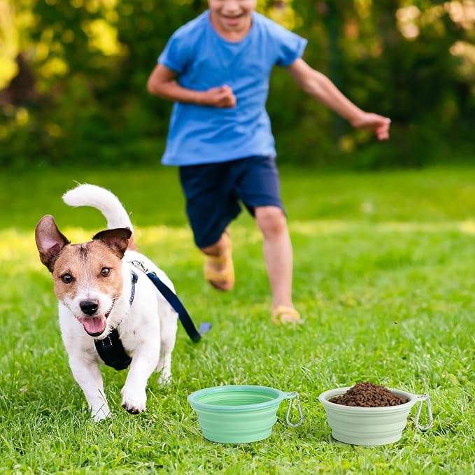 SLSON Macaron Collapsible Dog Bowl, 2 Pack, Small, Light Green & Light Yellow