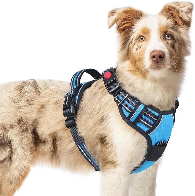 rabbitgoo Dog Harness Medium Sized, Updated Easy On & Off with 3 Buckles | No Pull No Choke, Walking with 2 Clips and Handle, Adjustable Soft Reflective, Sky Blue, Medium