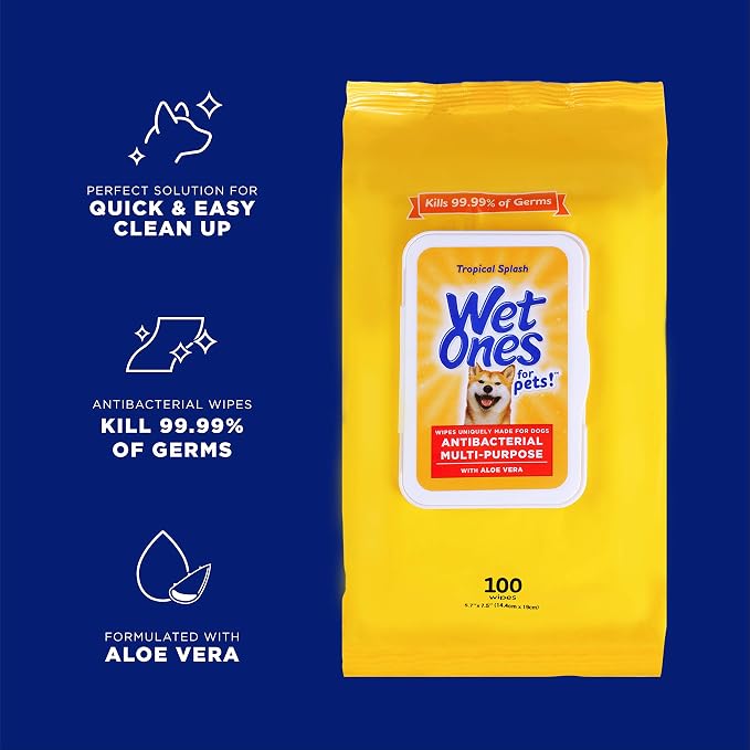 Wet Ones for Pets Multipurpose Dog Wipes with Aloe Vera, Tropical Splash Scent - Pet Bathing Wipes with Wet Lock Seal for Dog Paws and All-Over Use, 100 Count - 12 Pack