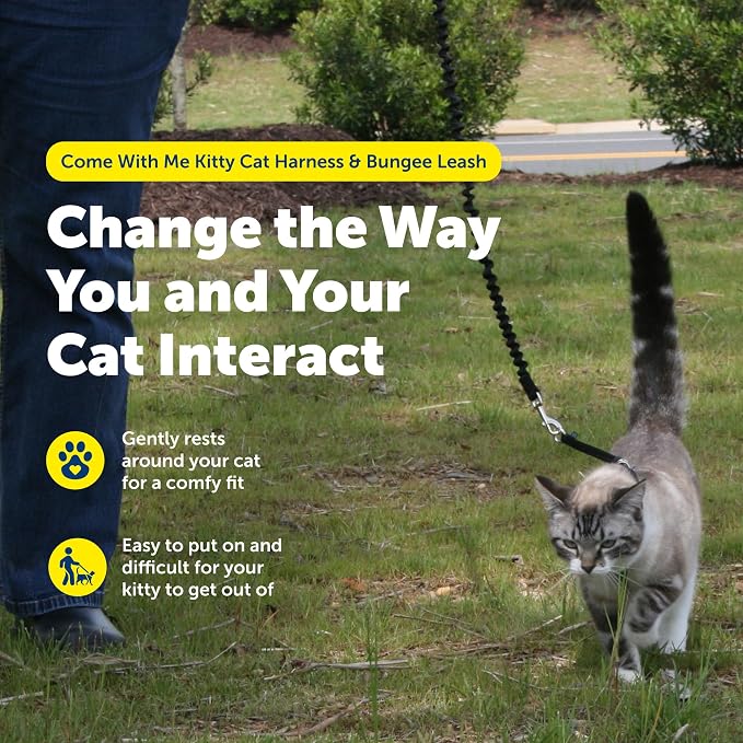 PetSafe Come with Me Kitty Harness and Bungee Cat Leash, Black, Small | Adjustable 2-Point Fit Applies Gentle Pressure to Shoulders, Not Neck, for Kittens and Small Cats with 9 in - 11 in Girth