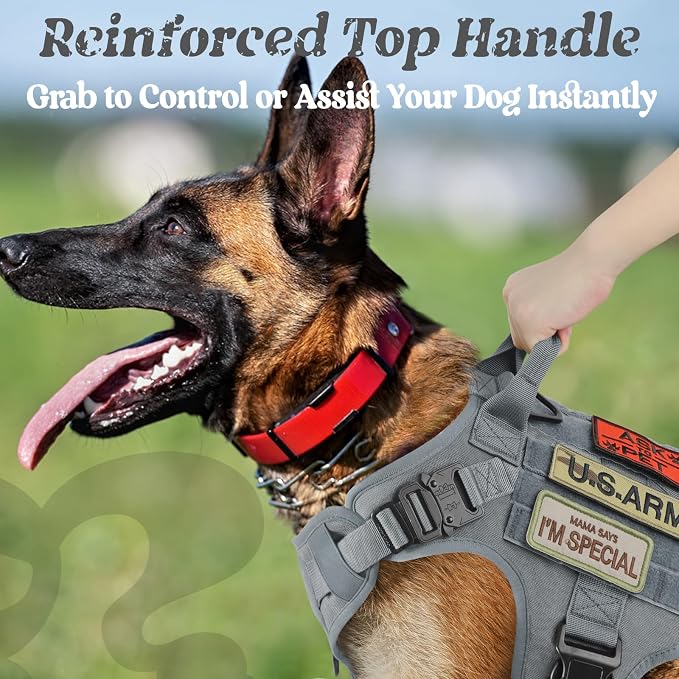 rabbitgoo Tactical Dog Harness for Small, Heavy Duty Military No Pull Vest | Sturdy Metal Buckles, 5 Adjustments, Molle System, Powerful Pullers for Training, Hunting, Outdoor, Grey, Small