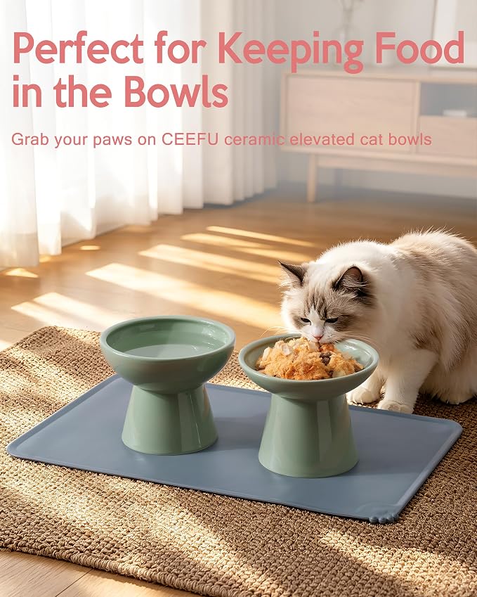 CEEFU 2 Elevated Ceramic Cat Bowls Upgraded with Food Mat, Extra Wide for Food & Water – Whisker Fatigue Shallow Food Dish, Lead & Cadmium-Free, Raised Height for Cats, Sage Green
