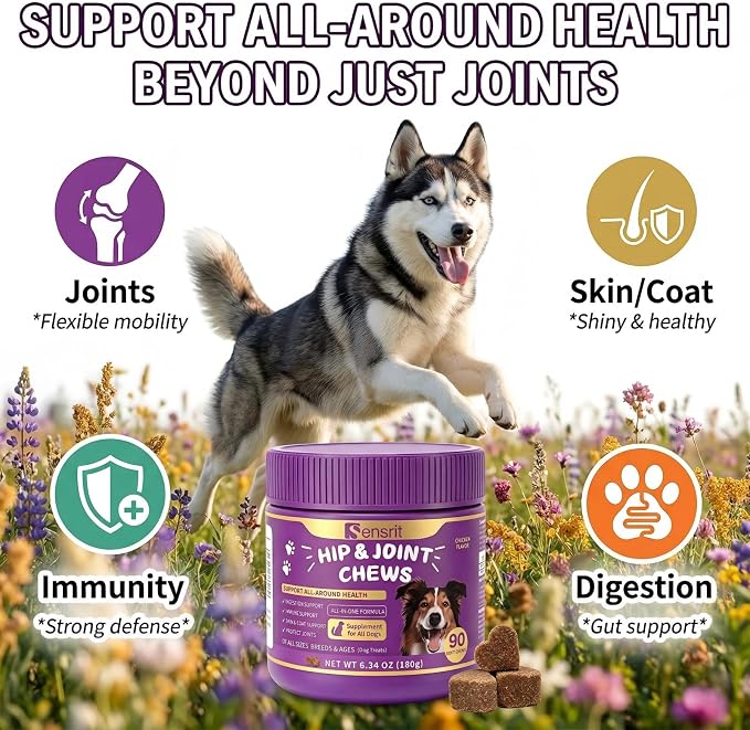 Hip and Joint Chews for Dogs - All-in-One Mobility Support with Glucosamine, MSM, Chondroitin & Green Lipped Mussel - 90CT Chicken Flavor - Helps with Dog Stiffness, Limping & Recovery.