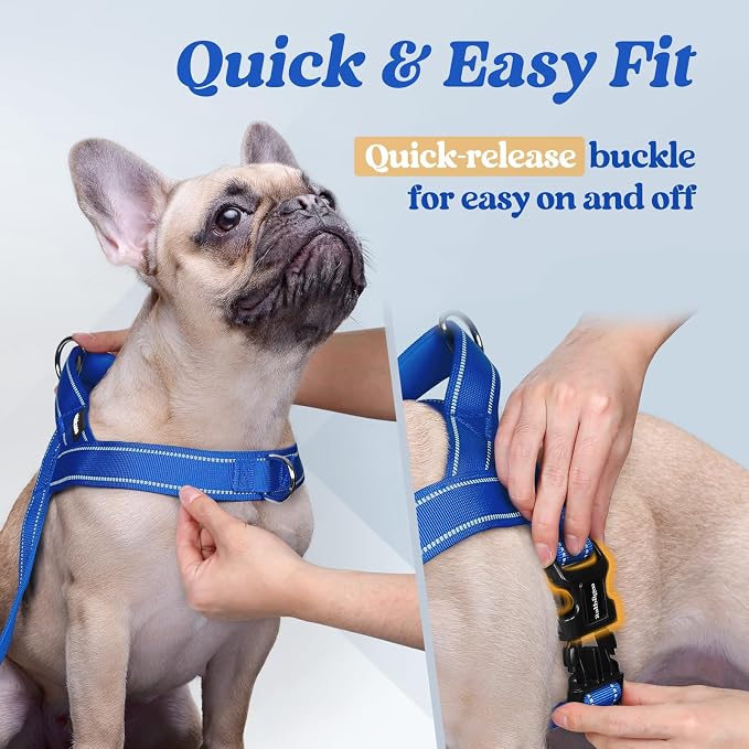 rabbitgoo Dog Harness No Pull, Quick Fit for Medium Sized Dog, Reflective | Chest Adjustable Pet Vest with Soft Padded Handle, No Choke Escape Proof for Walking Training, Blue M