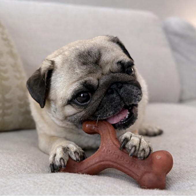 Nylabone Strong Chew Wishbone Dog Toy, Dog Toys for Aggressive Chewers | Durable chew toys for aggressive chewers, chew toy made with real bacon, small breeds up to 25 lbs, long lasting dog bone toy