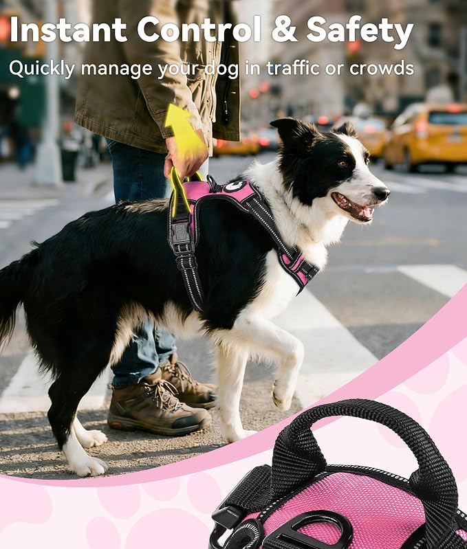 Joytale No Pull Dog Harness for Large Dogs, Front Clip, Hot Pink | Grab Handle for Instant Control, Padded & Adjustable Vest, Sturdy Metal D-Rings, for Safe Training & Daily Walking