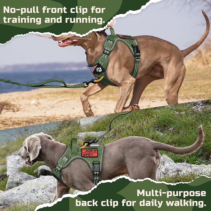 rabbitgoo Tactical Dog Harness for Small, No Pull Military Service Vest | Molle & Handle, Heavy Duty, Adjustable, Reflective Straps, Easy Control for Training Walking, Green, Small