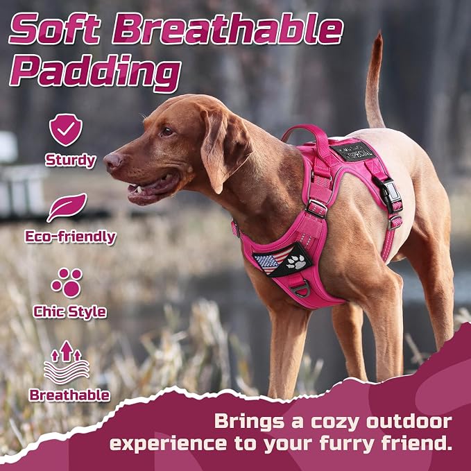 rabbitgoo Tactical Dog Harness for Medium, No Pull Military Service Vest | Molle & Handle, Heavy Duty, Adjustable, Reflective Straps, Easy Control for Training Walking, Rose Red, Medium