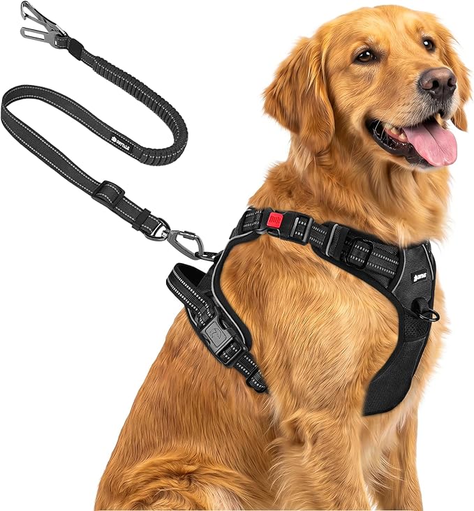 Joytale No Pull Dog Harness & Seat Belt, Easy On 3-Buckle, XL, Black | Front Clip Reduces Pulling, Escape-Resistant Design, Adjustable Fit, Soft Padding for Comfort, Secure Tether for Safer Travel