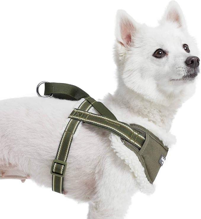 Blueberry Pet Soft & Comfy Multi-Colored Stripe Fleece Padded Chest Dog Harness, Chest Girth 20.5" - 26", Olive Green, Medium, Adjustable No Pull Training Harness for Dogs