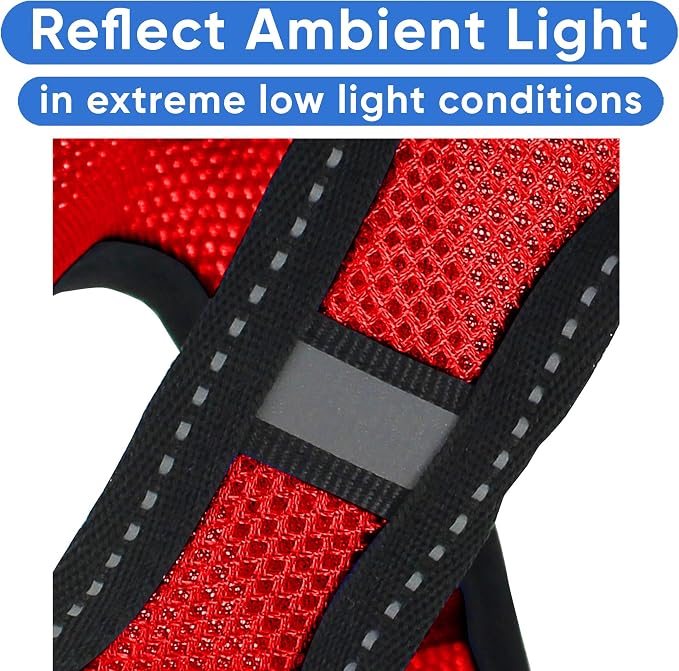 Pawtitas Dog Vest Harness Made with Breathable Air Mesh | All Weather Vest Harness for Medium Puppies and Extra Large Cats with Quick-Release Buckle - Medium Red Mesh Dog Harness