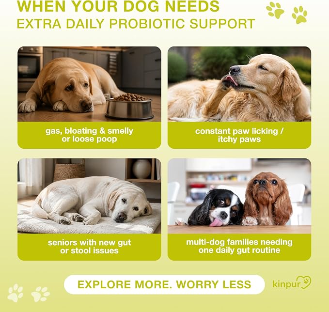Probiotics for Dogs with Digestive Enzymes & Prebiotics - Sensitive Stomach