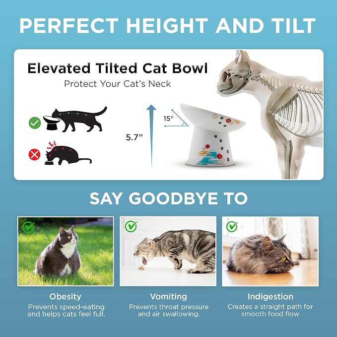 Necoichi Raised Cat Food Bowl – Ceramic Elevated 15° Tilted cat Bowl for Whisker & Neck Fatigue, Dishwasher & Microwave Safe, Non-Slip Anti-Vomiting Design (Fuji, Extra Wide Tilted, 1.5-Cups Capacity)