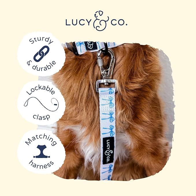 Lucy & Co. 5 Foot Designer Dog Leash for Small, Medium or Big Dogs or Puppies Puppy – Pet Accessories & Supplies - Large - White with Blue Bows