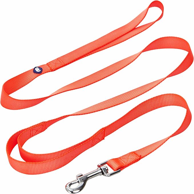 Blueberry Pet Essentials Double Handle Dog Leash for Traffic Control|5ft.x3/4" Medium Dog Leash|Classic Dog Leash with Two Handles for Dogs That Pull|Nylon 2 Handle Dog Leash in Florence Orange